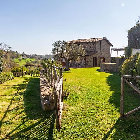 Home With A View In Scansano, Tuscany Zewnętrze zdjęcie