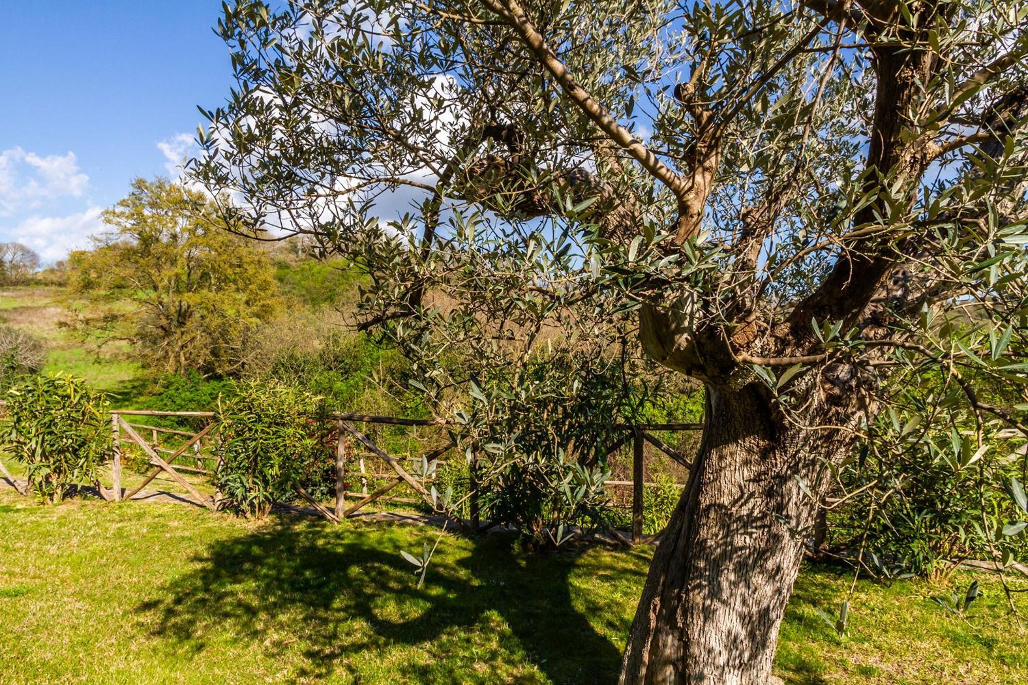 Home With A View In Scansano, Tuscany Zewnętrze zdjęcie