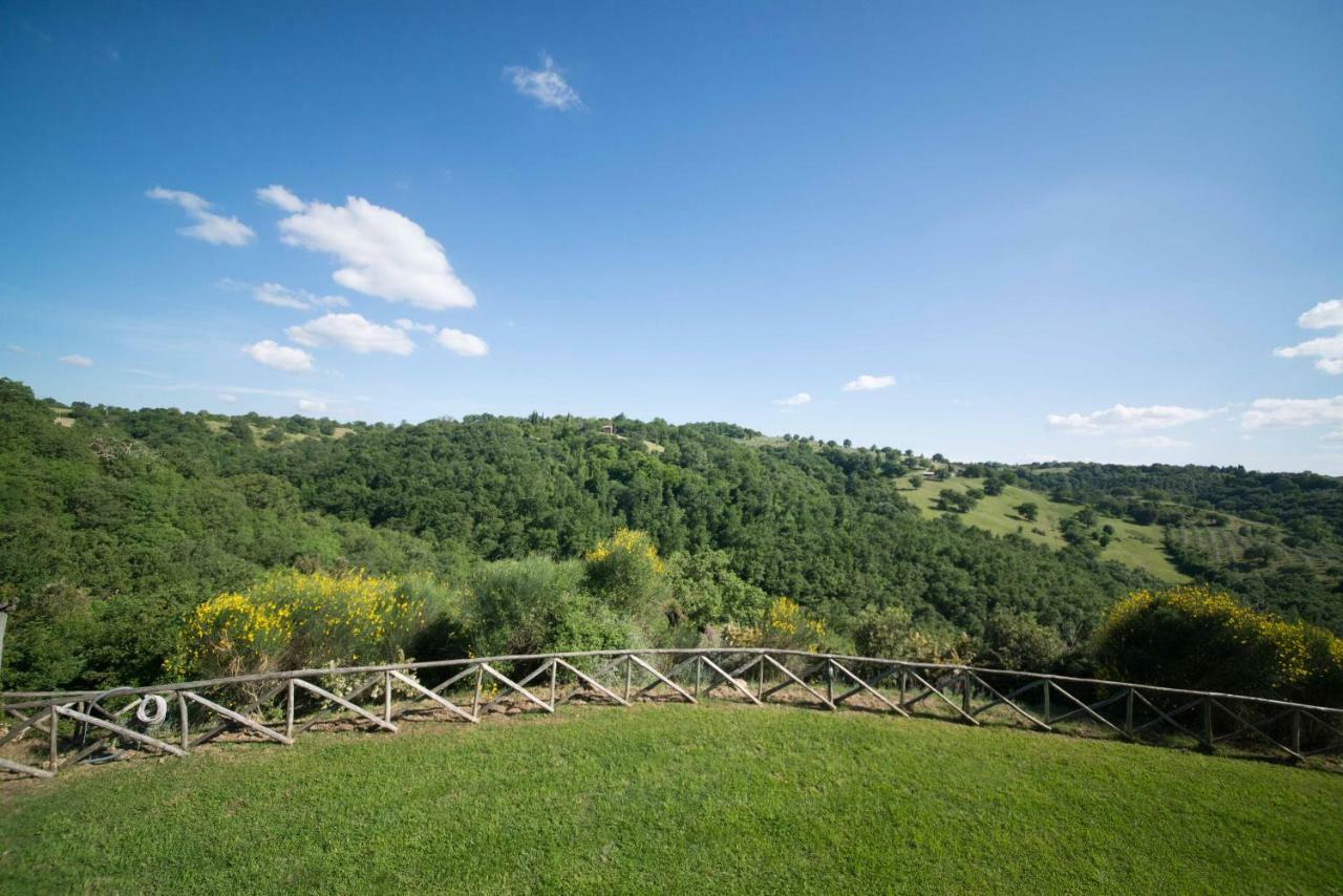 Home With A View In Scansano, Tuscany Zewnętrze zdjęcie